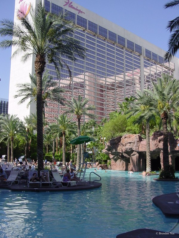 Flamingo - Las Vegas 8-02 010